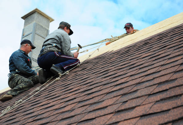 Professional Roofing Contractor in Colesville, MD